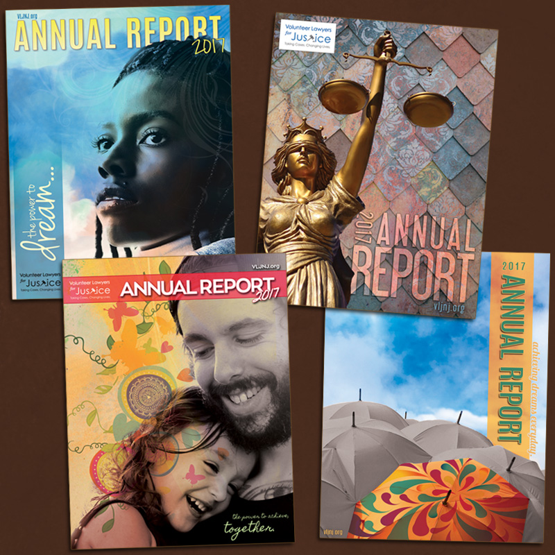 VLJ annual report 2017 covers.