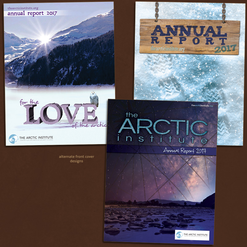 Arctic Institute annual report 2017.