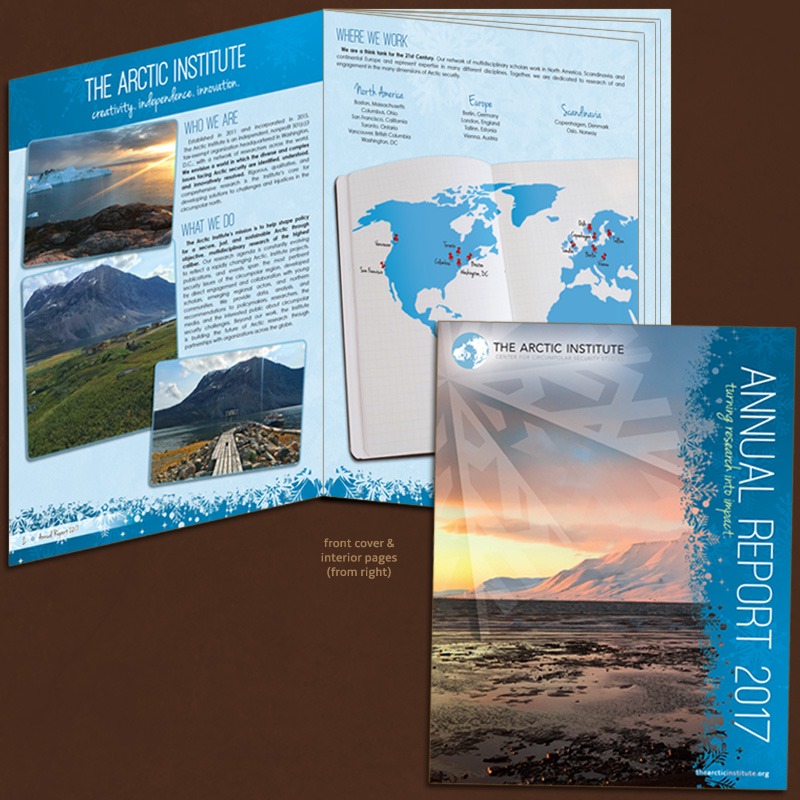 Arctic Institute annual report 2017.