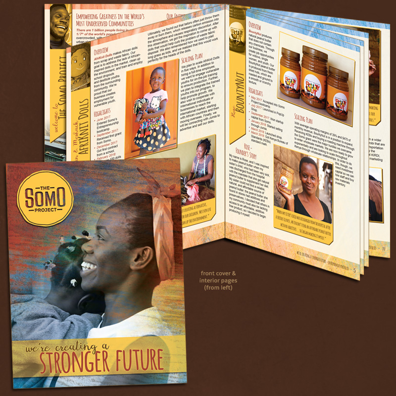 Somo Project entrepreneur book.